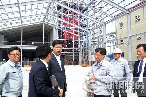 韩国平泽市市长视察易彩堂官网30T生物质锅炉现场