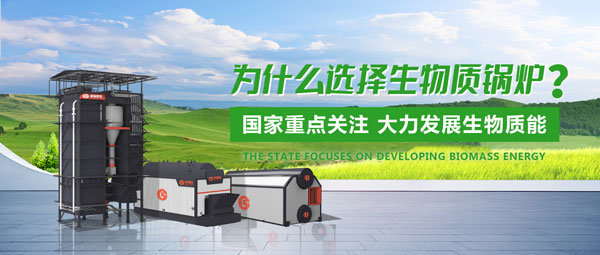 易彩堂官网生物质锅炉：绿色生长的“时代之选”