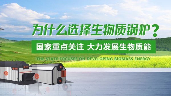 易彩堂官网生物质锅炉：绿色生长的“时代之选”