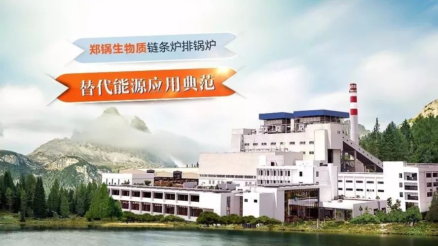 易彩堂官网领衔体例行业手艺标准，，，首次统一生物质链条炉排锅炉手艺条件！