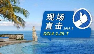 现场直击丨看生物质锅炉在巴厘岛怎样强操作，，，转头客非它不选