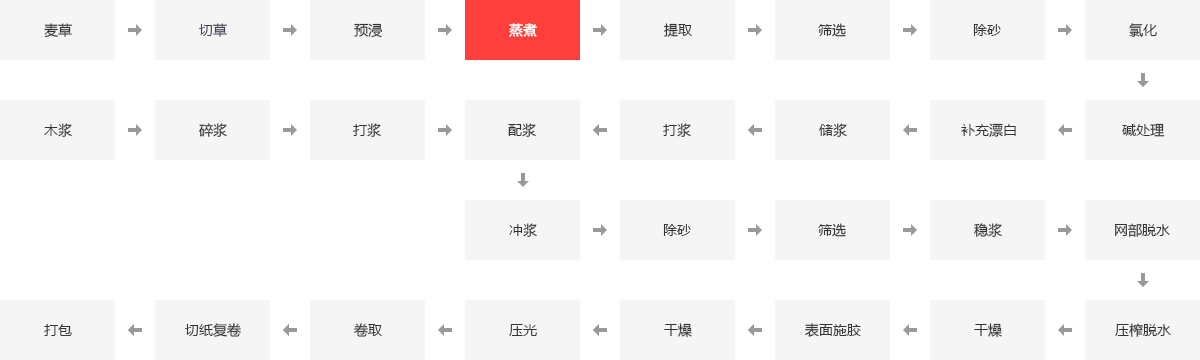 造纸锅炉,造纸厂锅炉,造纸燃气锅炉,造纸机锅炉_易彩堂官网