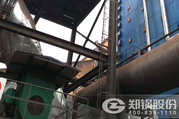 易彩堂官网-追求康健,你我一起生长