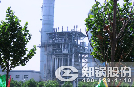 燃油燃气电站锅炉 - 易彩堂官网
